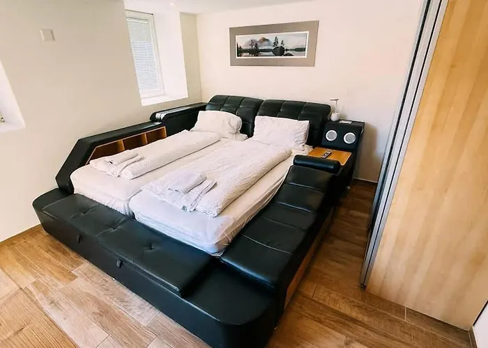 The Timber In Apartman Brienz